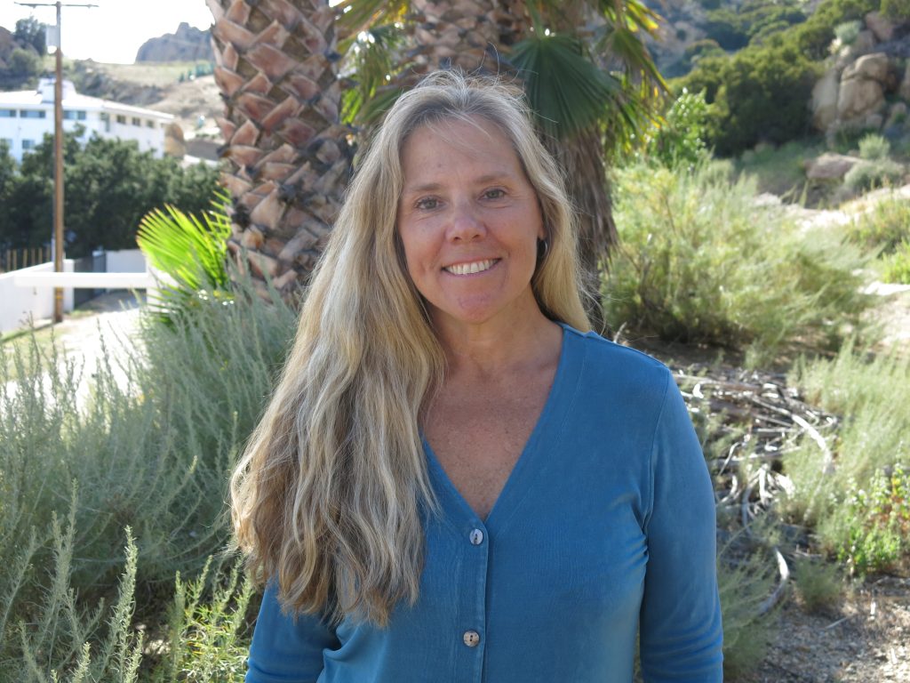 Integrative Wellness Therapy