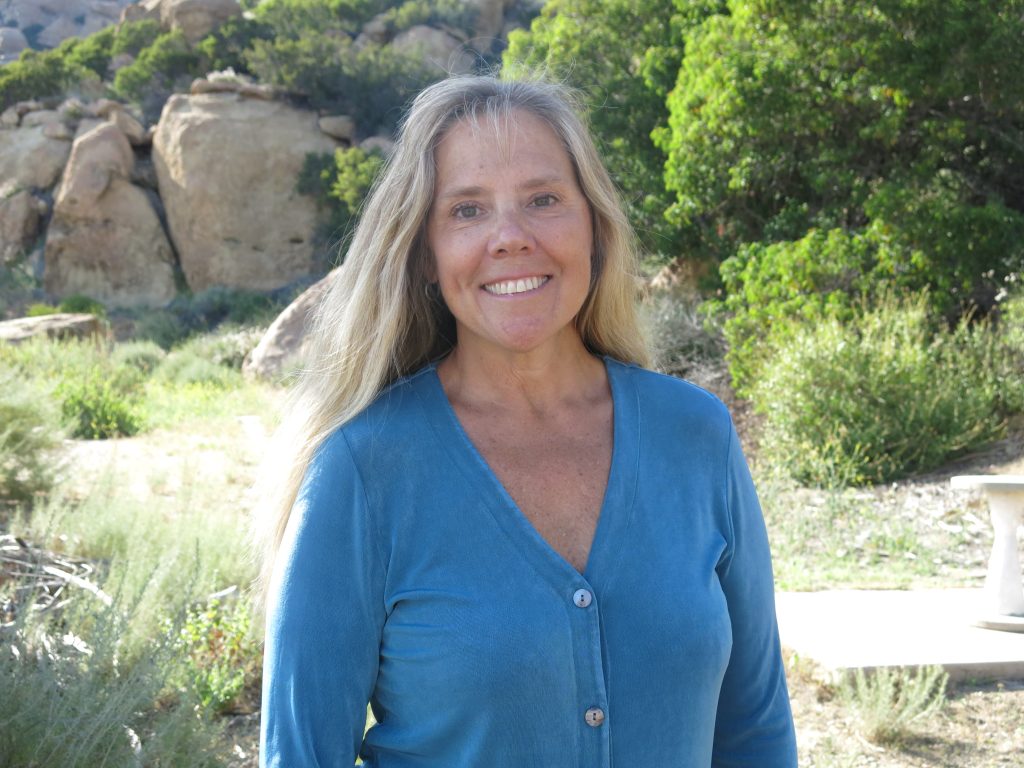 Integrative Wellness Therapy