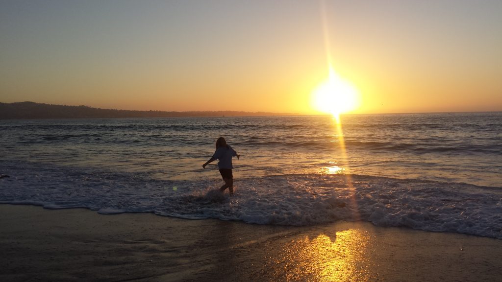 Integrative Wellness Therapy