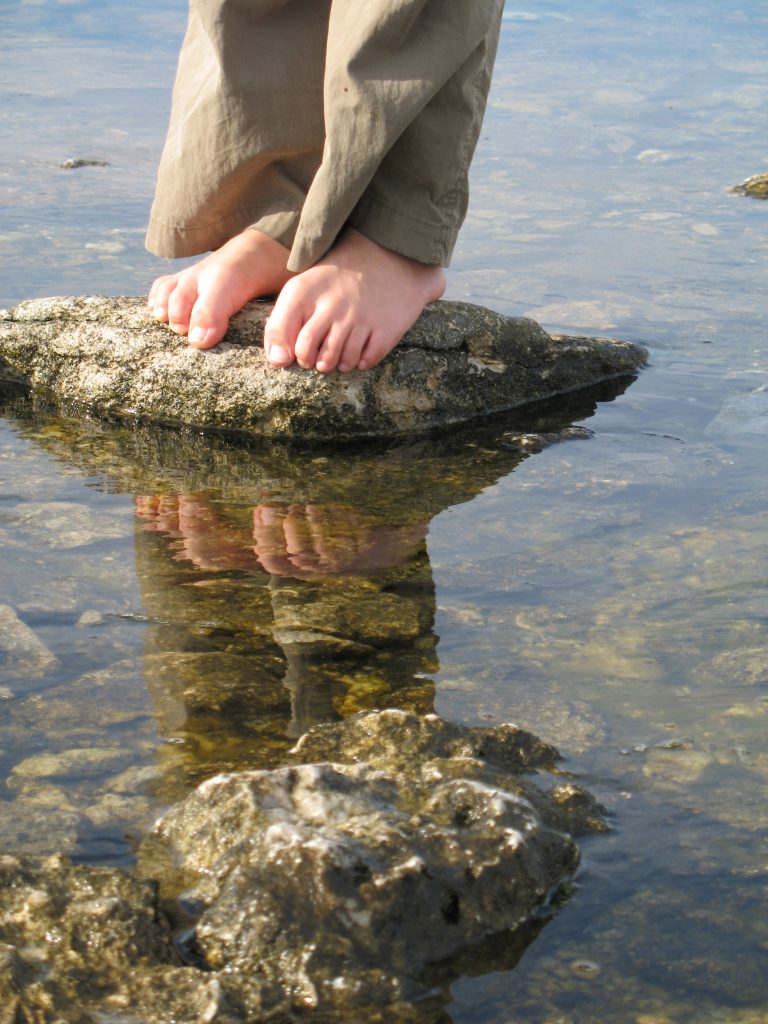 Integrative Wellness Therapy